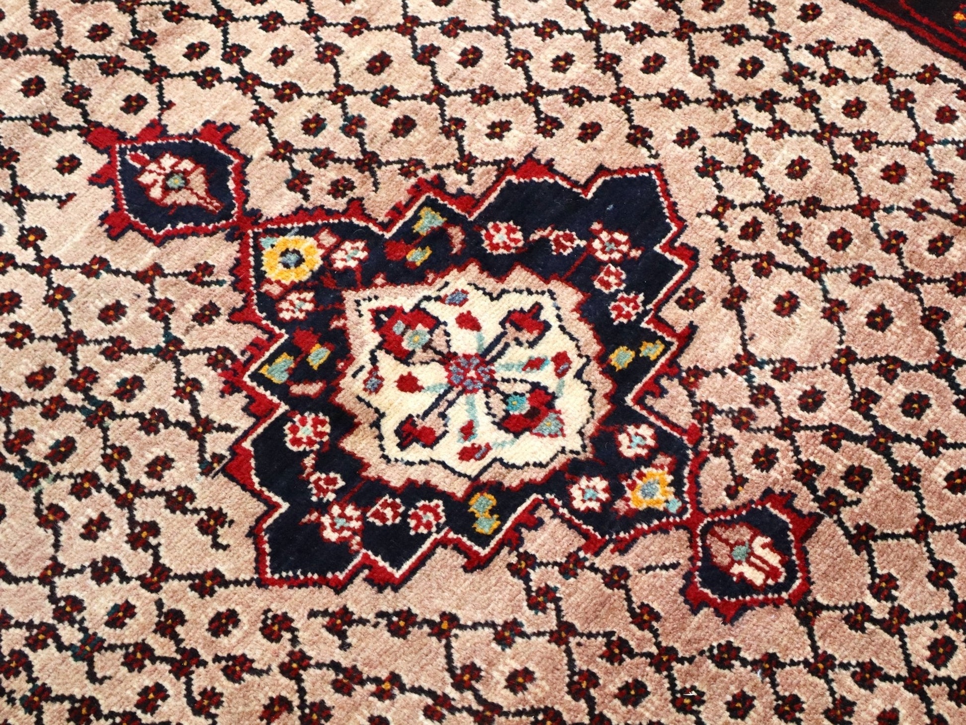 Persian Koliai Rug | 5' 2" x 9' 4" - www.Shopthatapp.com