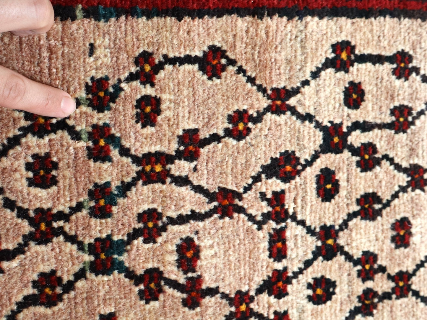 Persian Koliai Rug | 5' 2" x 9' 4" - www.Shopthatapp.com