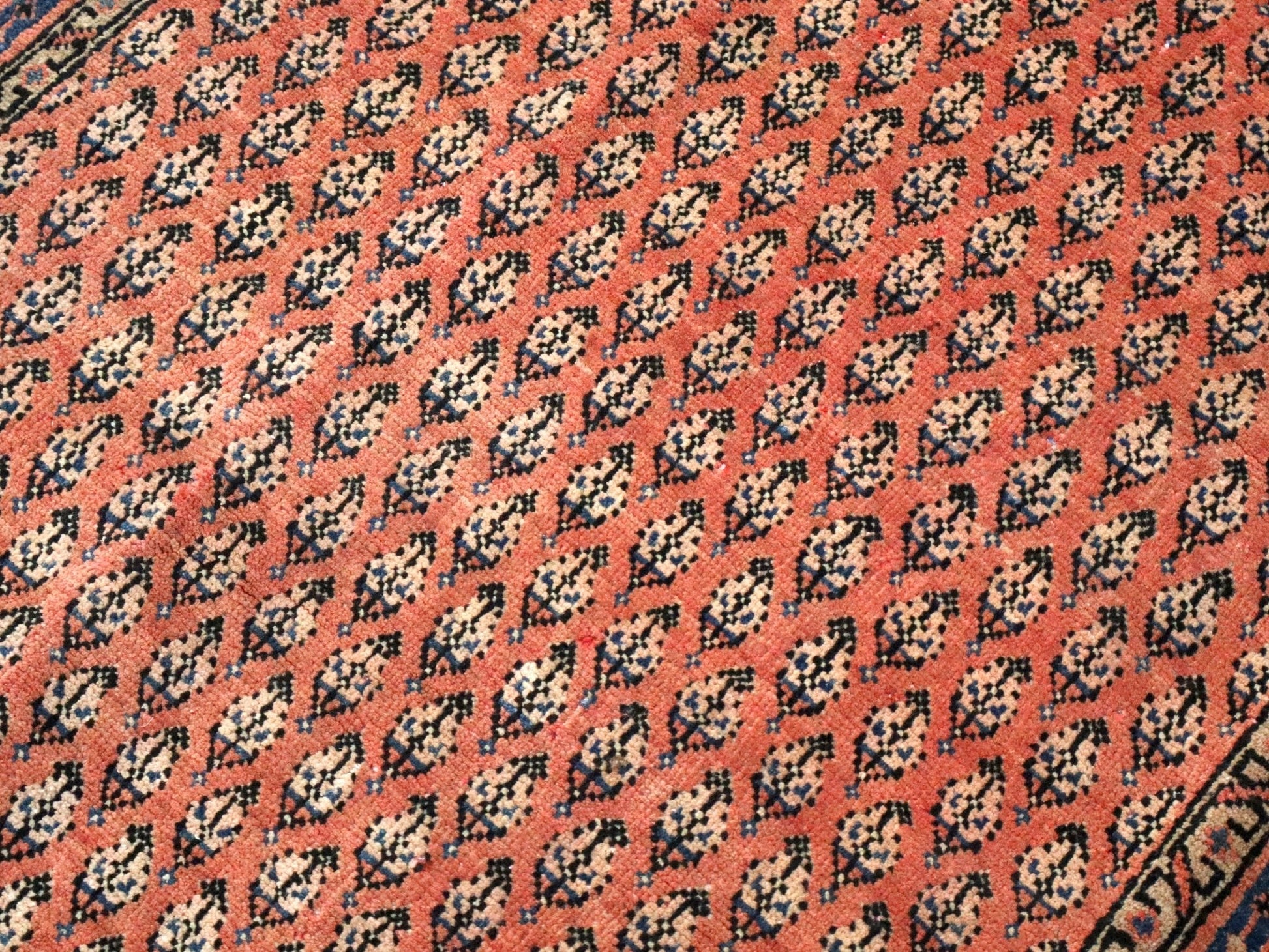 Persian Mir Rug | 3' 8” x 6' 11" - www.Shopthatapp.com