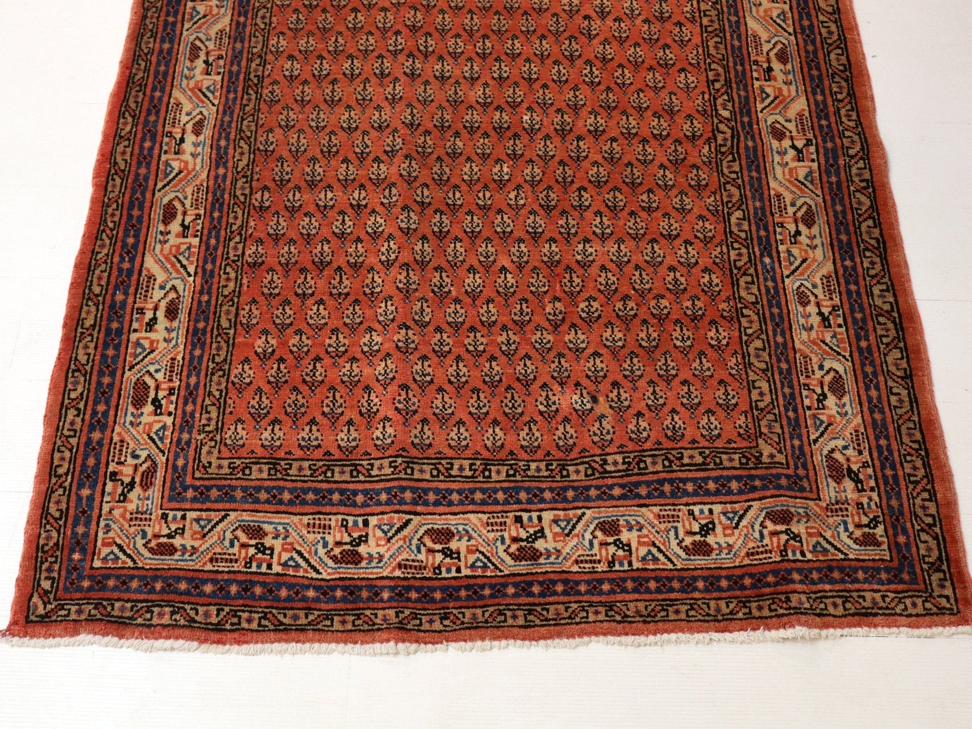 Persian Mir Rug | 3' 8” x 6' 11" - www.Shopthatapp.com