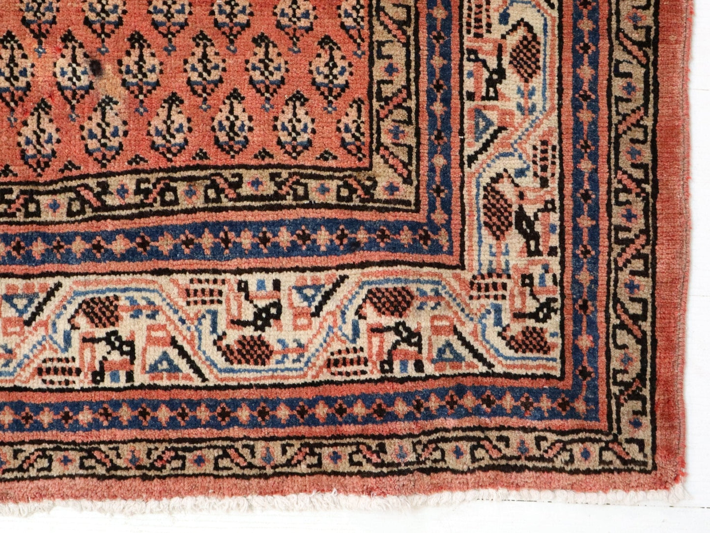 Persian Mir Rug | 3' 8” x 6' 11" - www.Shopthatapp.com