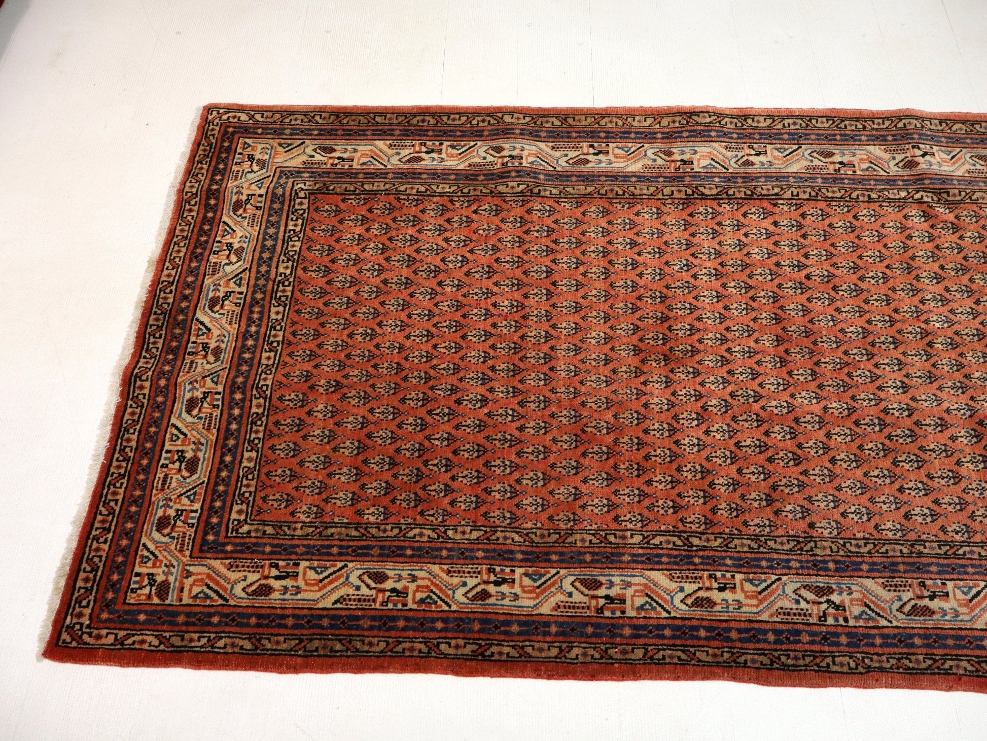Persian Mir Rug | 3' 8” x 6' 11" - www.Shopthatapp.com