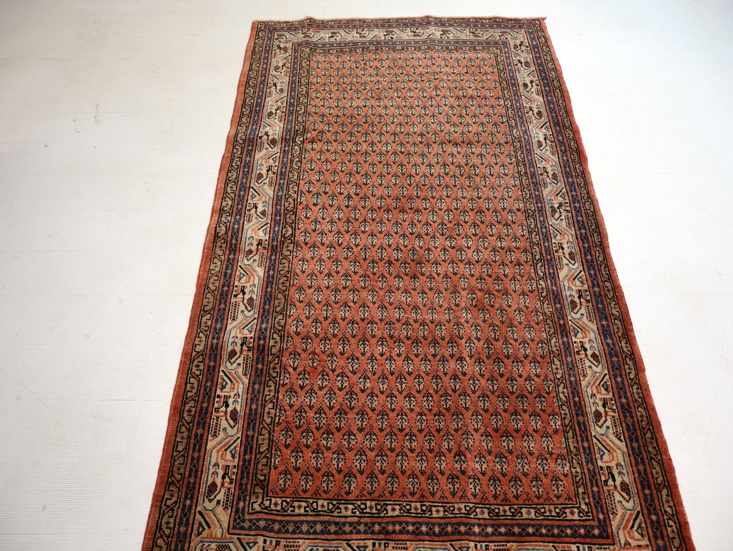 Persian Mir Rug | 3' 8” x 6' 11" - www.Shopthatapp.com