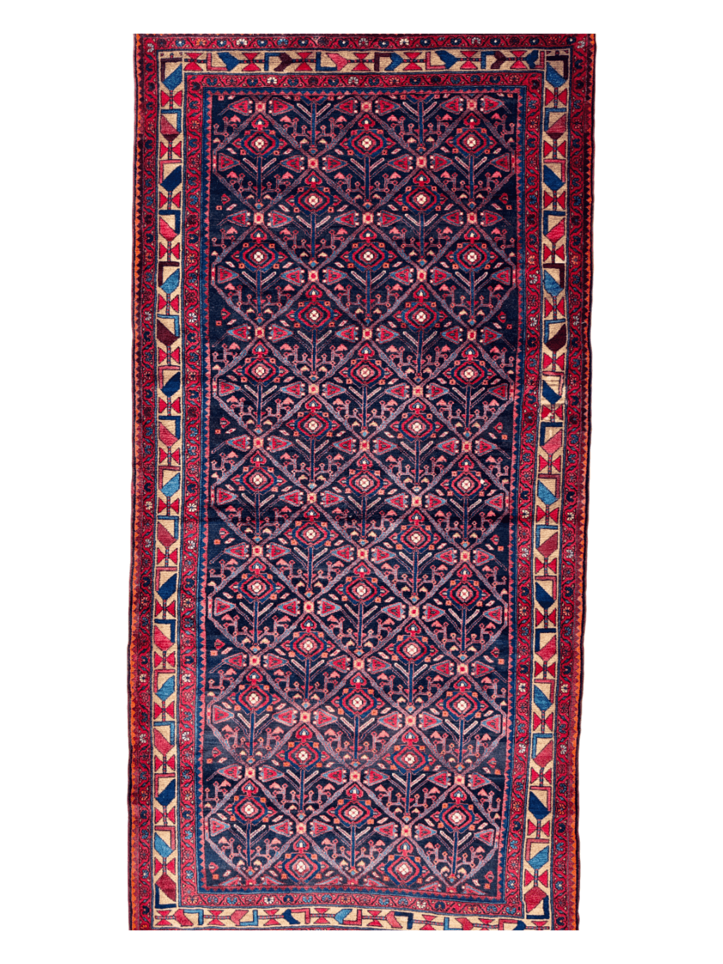 Persian Nahavand Rug | 5' 2" x 10' 8" - www.Shopthatapp.com