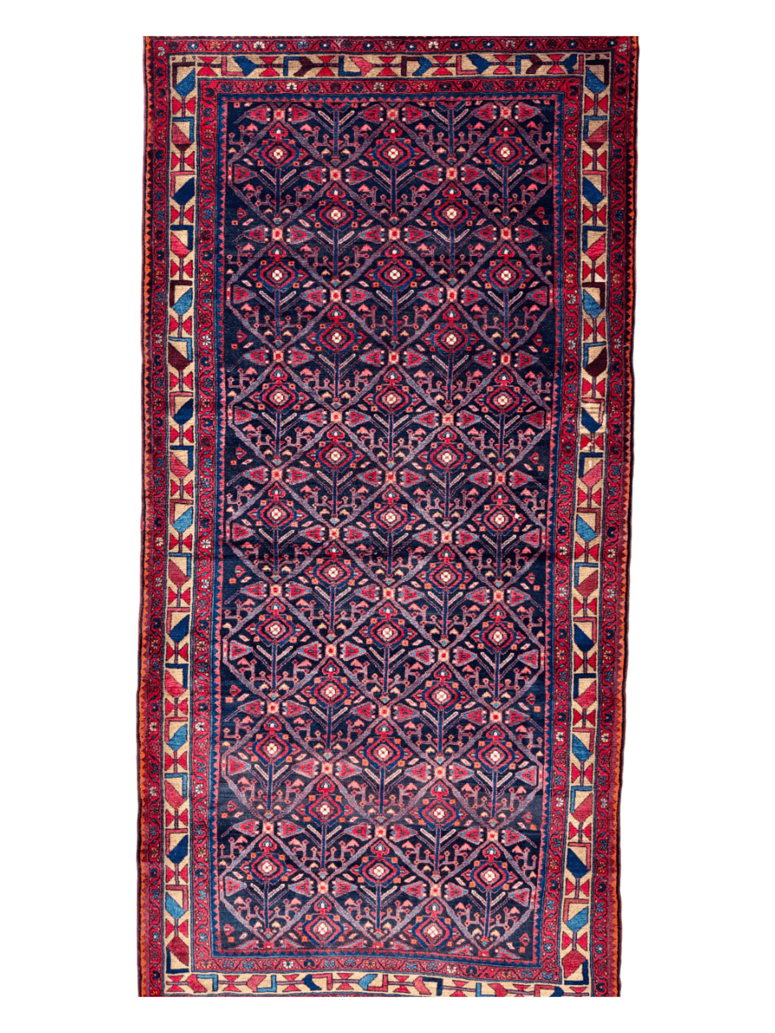 Persian Nahavand Rug | 5' 2" x 10' 8" - www.Shopthatapp.com