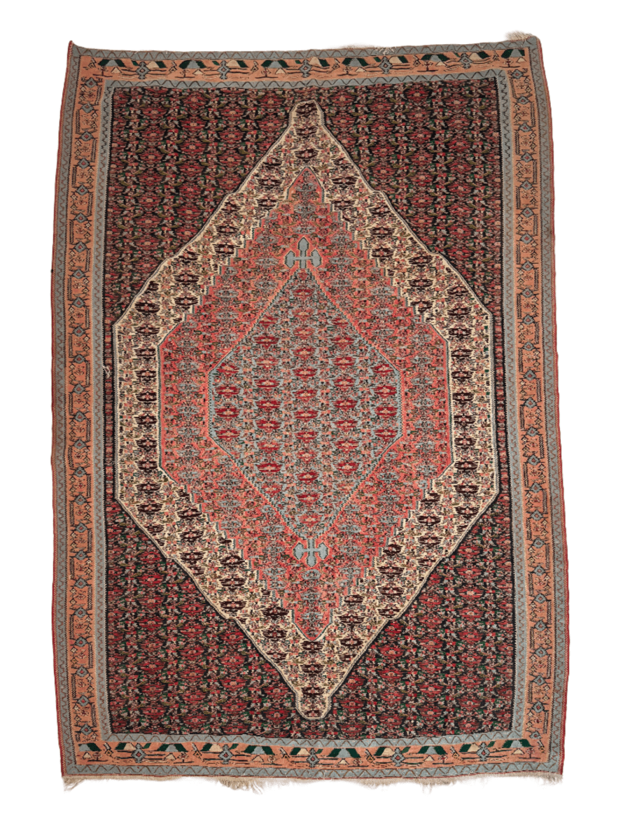 Persian Senneh Kilim Rug | 6' 3" x 9' 6" - www.Shopthatapp.com