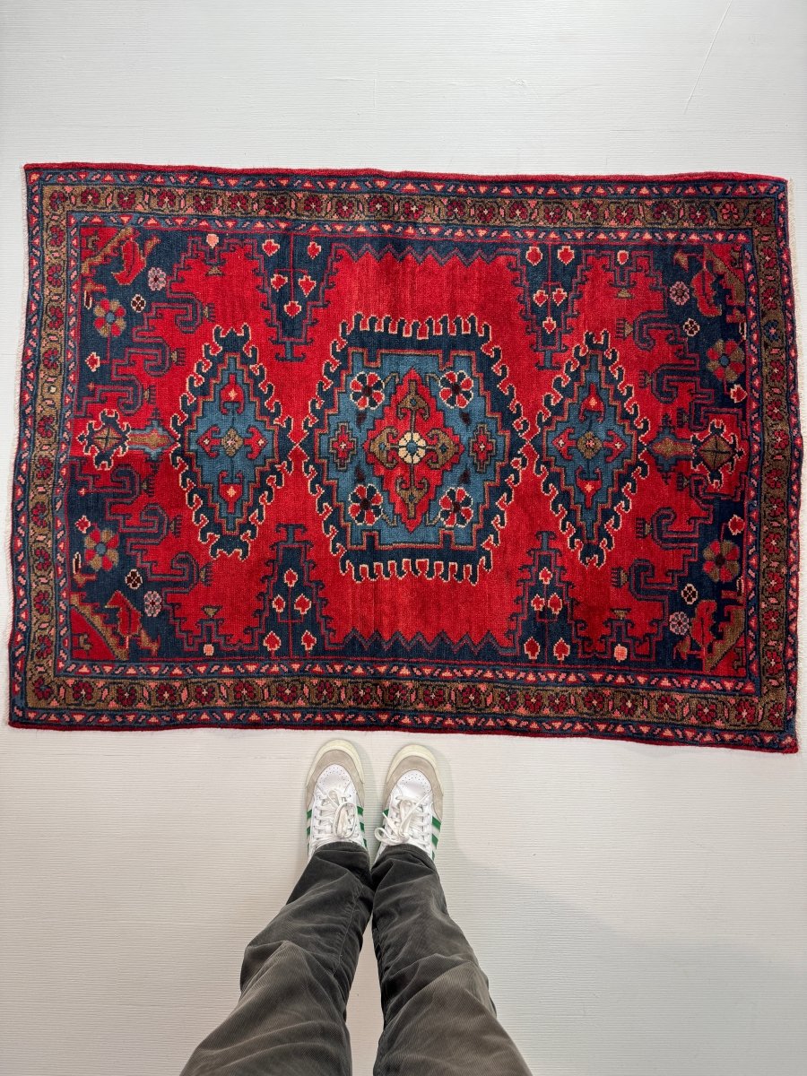 Persian Viss Rug | 3' 7” x 4' 11" - www.Shopthatapp.com