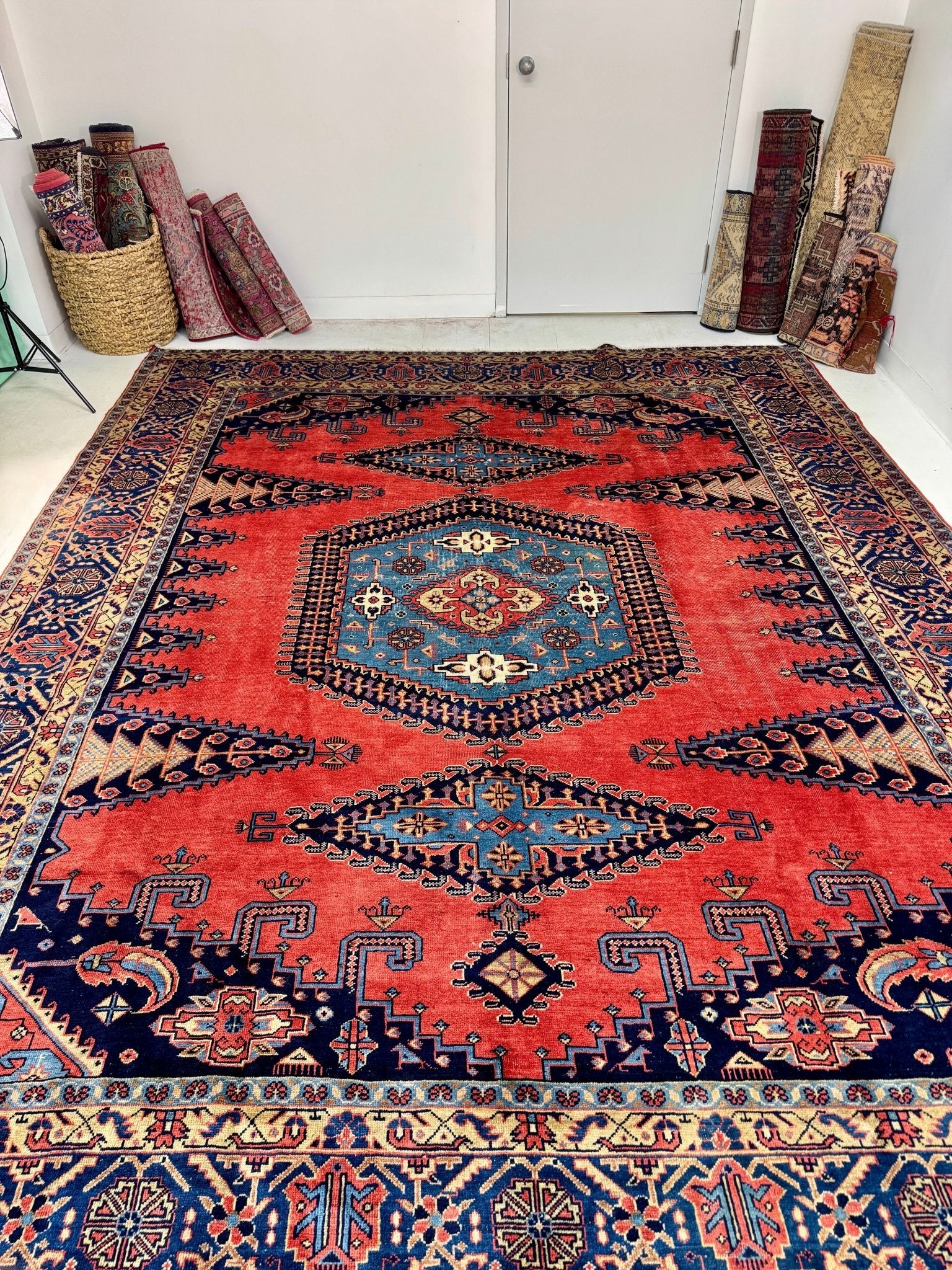 Persian Viss Rug | 9' 6” x 11' 11" - www.Shopthatapp.com