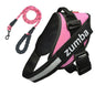 Personalized Dog Harness and Leash with Name and Phone Number - www.Shopthatapp.com