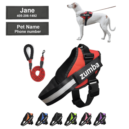 Personalized Dog Harness and Leash with Name and Phone Number - www.Shopthatapp.com