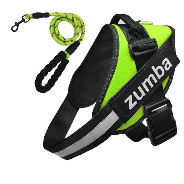 Personalized Dog Harness and Leash with Name and Phone Number - www.Shopthatapp.com