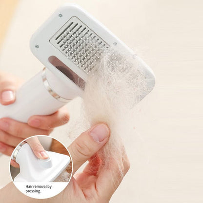 Brosse sèche-poils pour chien portable 2 en 1