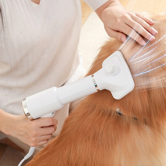 Brosse sèche-poils pour chien portable 2 en 1