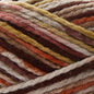 Buy Canyon Yarn Canada - Premier Canyon Colors Yarn