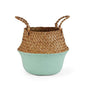 Colored Wicker Basket