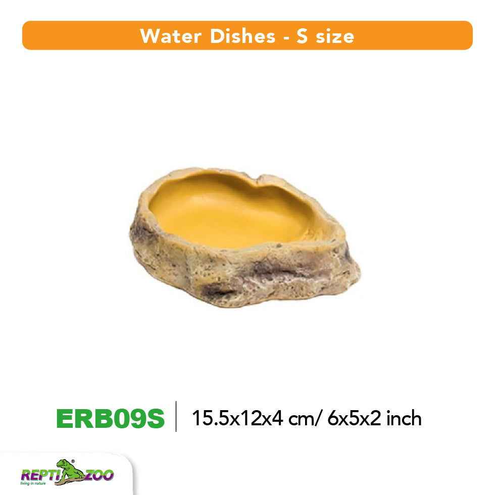 Small reptile water dish in natural stone design, perfect for hydration in terrariums