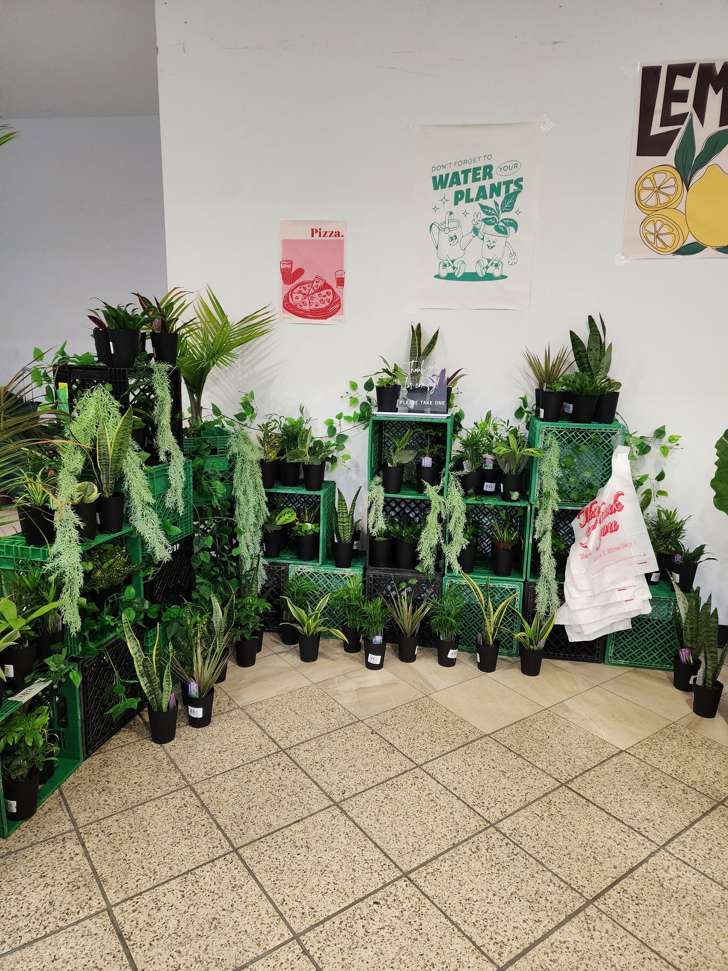 Bar à plantes