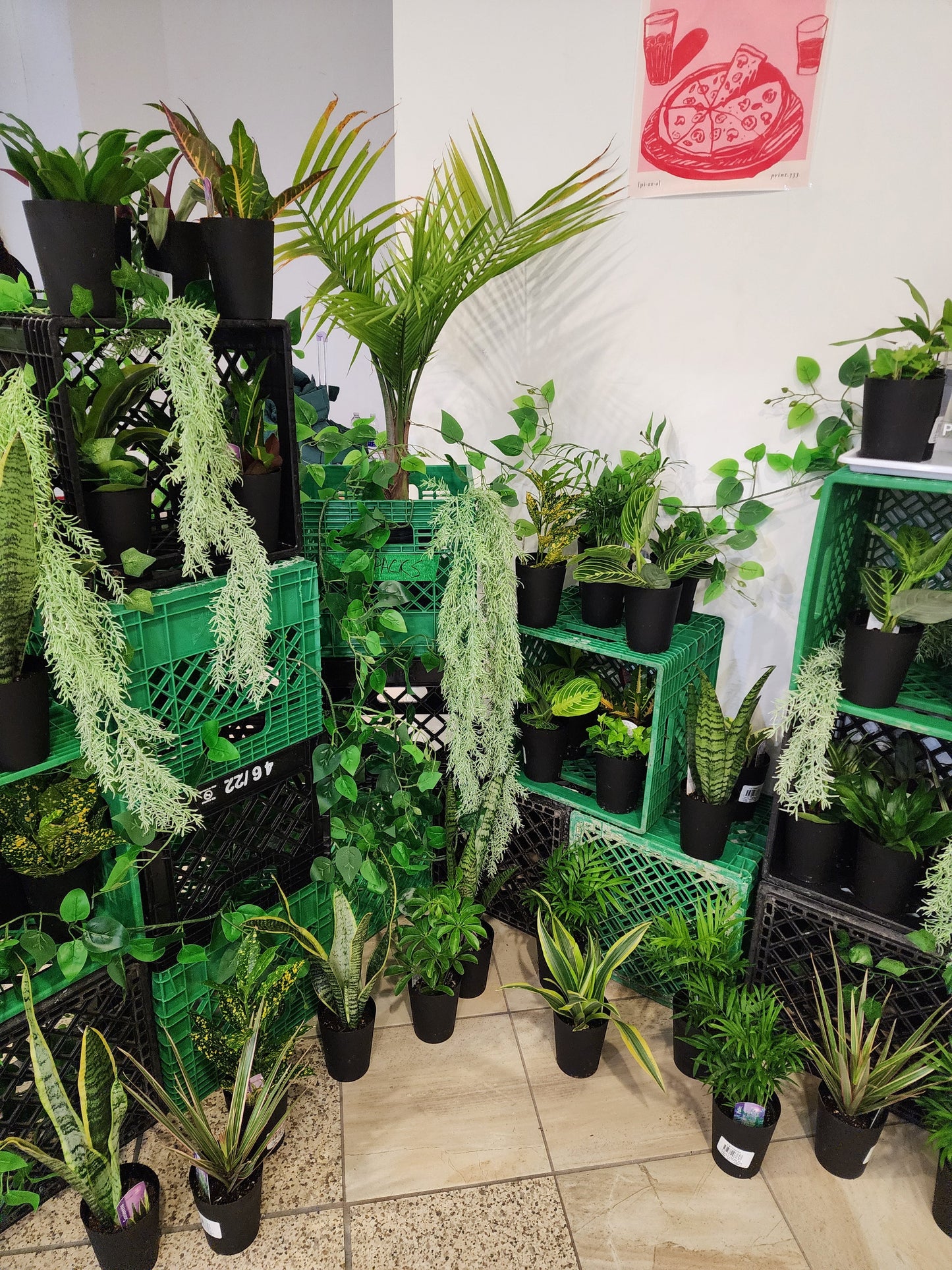 Bar à plantes