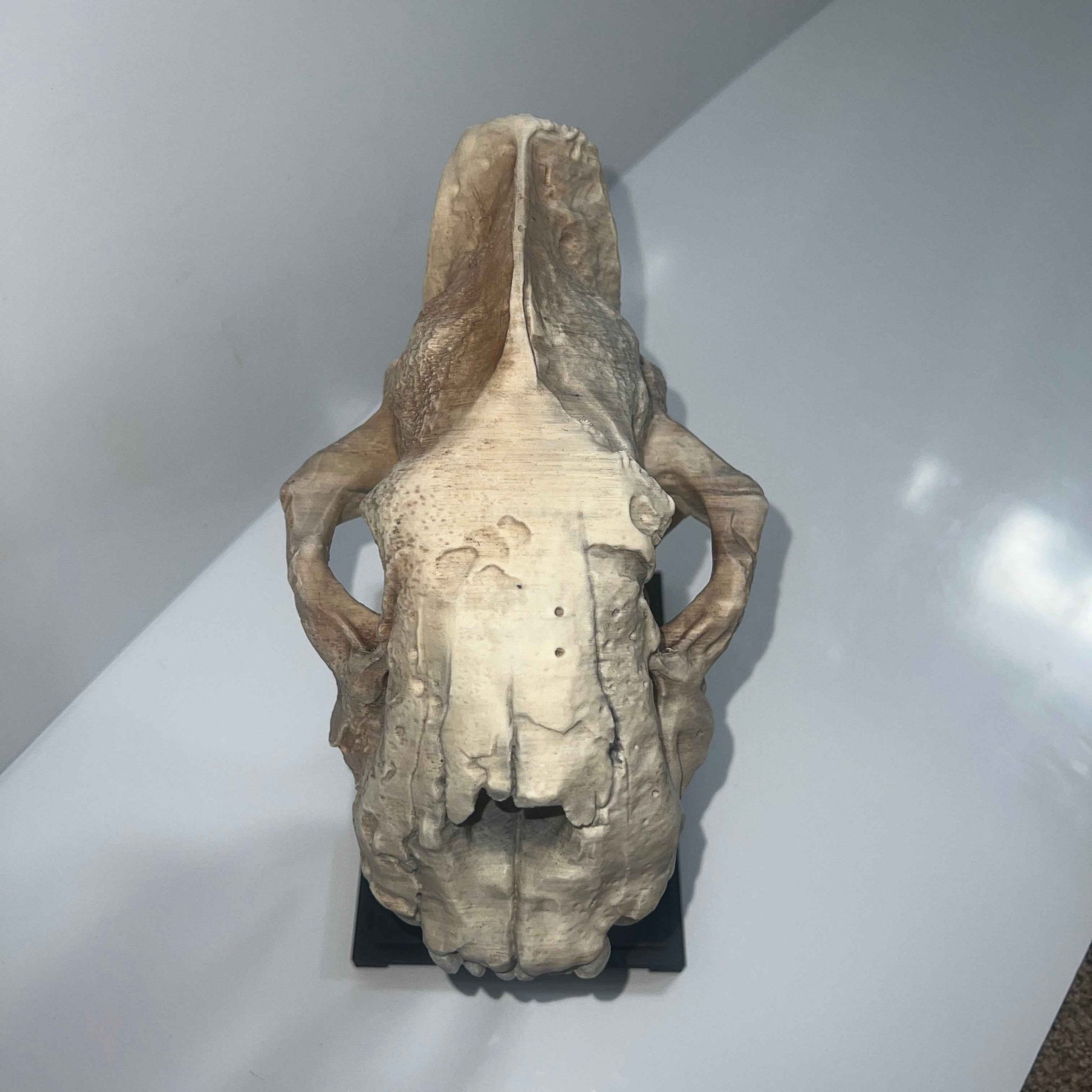 Saber tooth Cat (Smilodon) - 3D Printed - www.Shopthatapp.com
