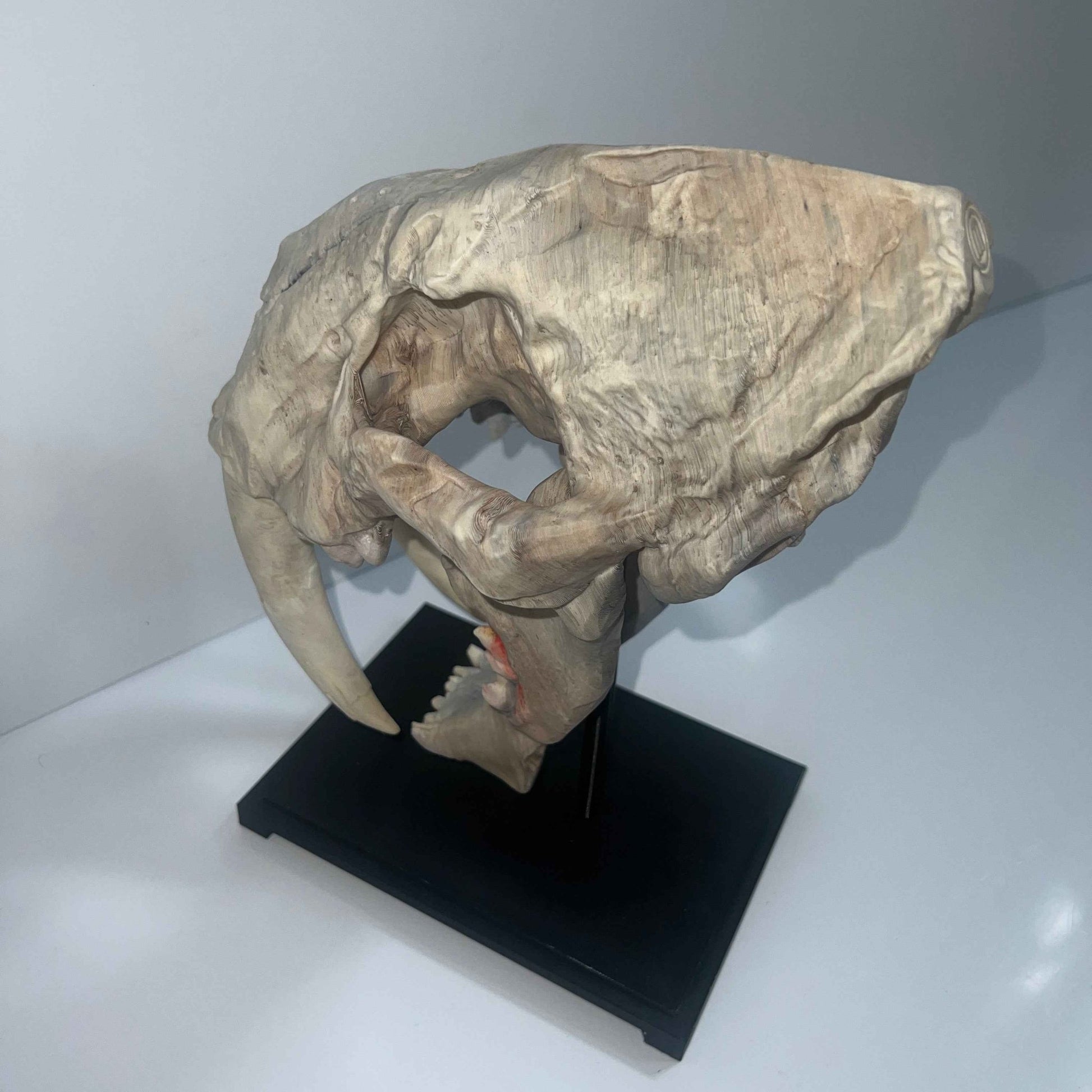 Saber tooth Cat (Smilodon) - 3D Printed - www.Shopthatapp.com