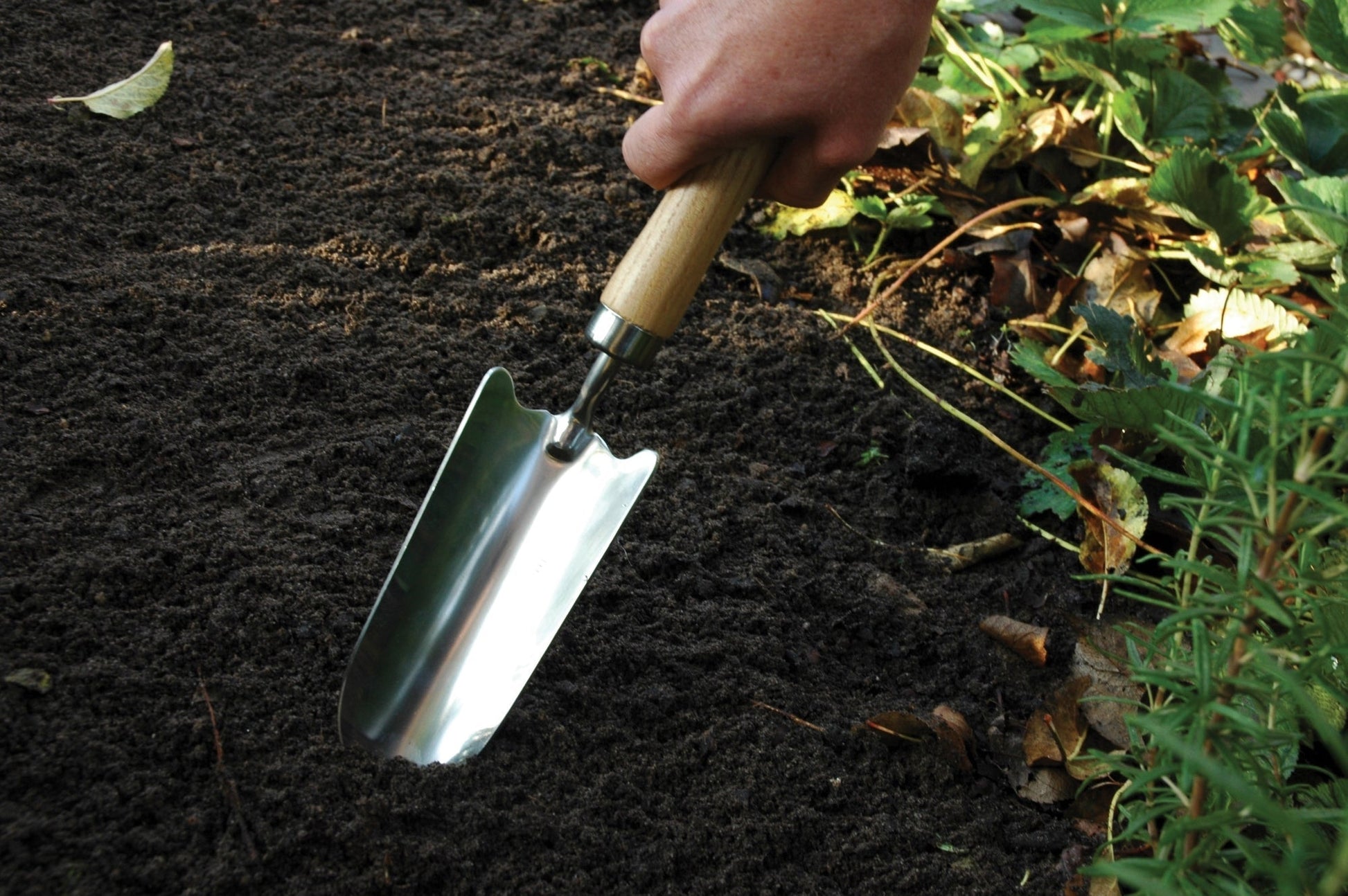 Stainless Steel Shovel - www.Shopthatapp.com