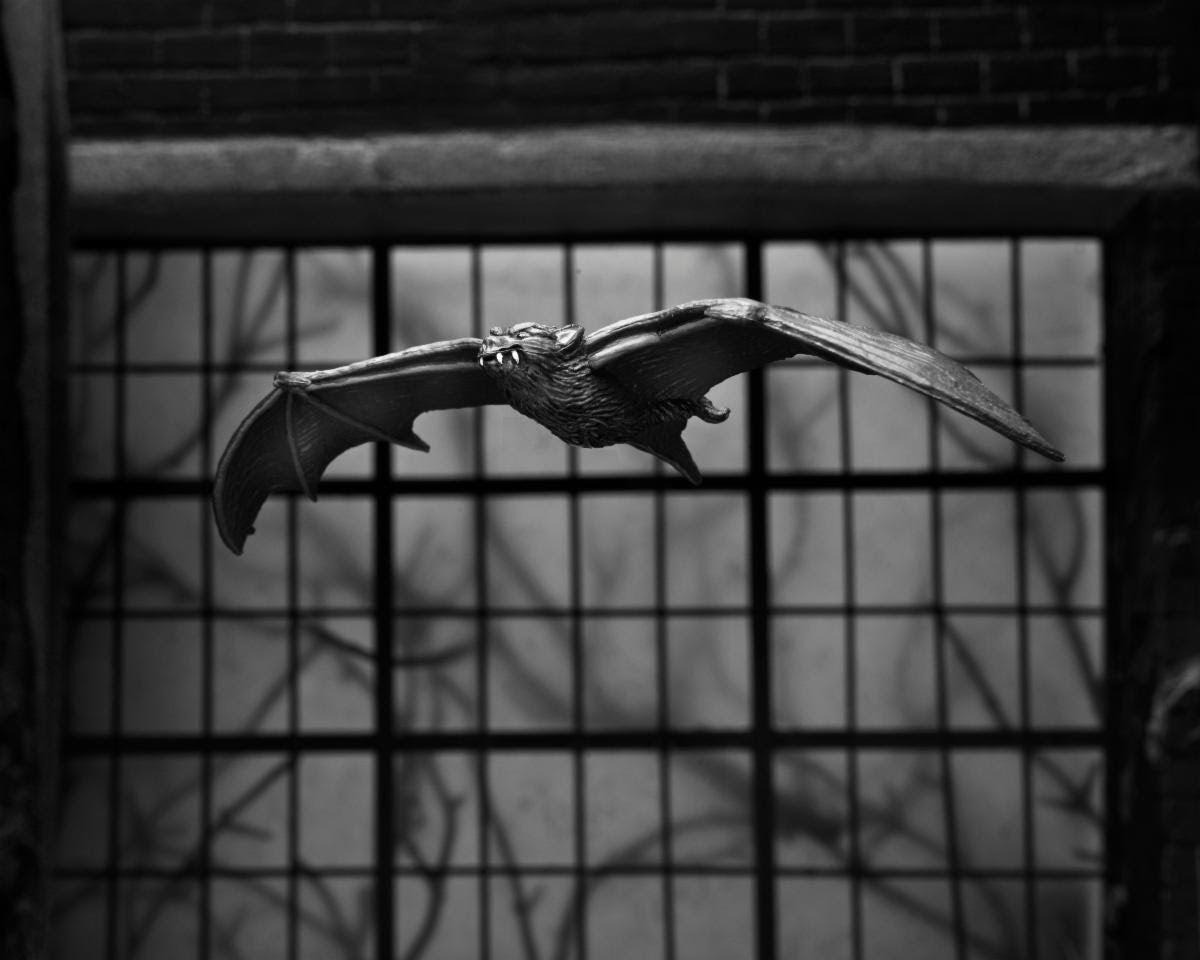 Universal Monsters - 7" Scale Action Figure - Ultimate Dracula - Carfax Abbey - www.Shopthatapp.com