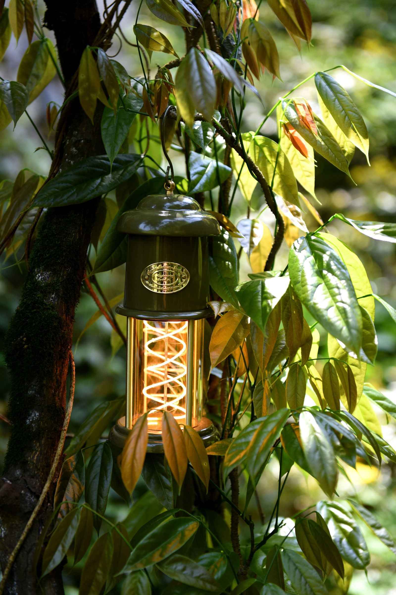 Peterson Housewares Meteor Green Camping Lantern