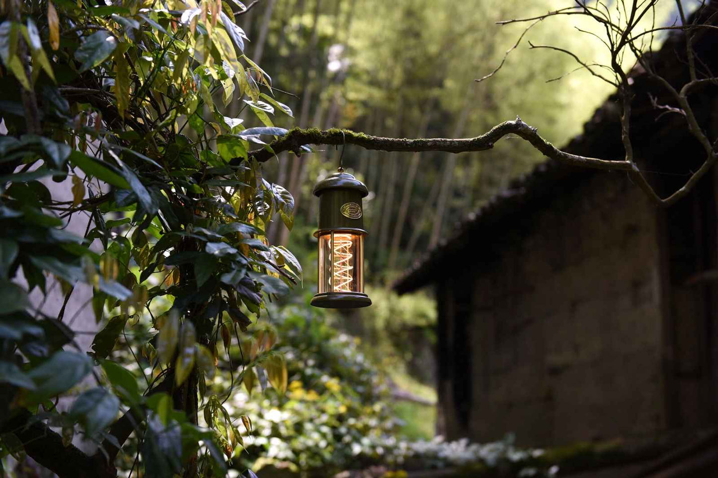 Peterson Housewares Meteor Green Camping Lantern