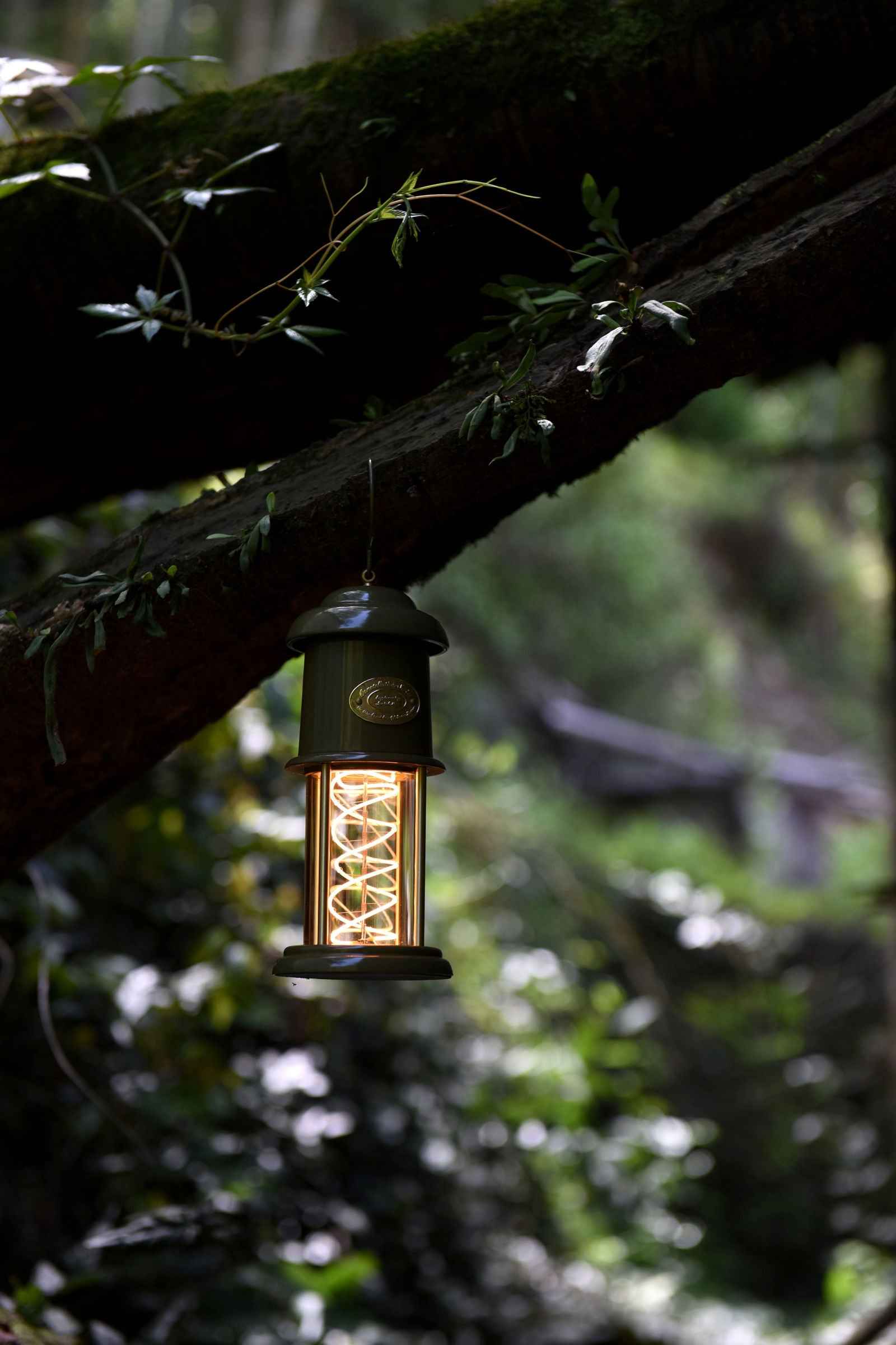 Peterson Housewares Meteor Green Camping Lantern
