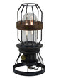Peterson Housewares vintage grey camping lantern with a glass bulb protector and rustic metal base
