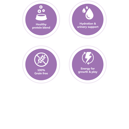 Wellness Complete Health™ Pâté Chicken & Herring Cat Wet Food - EXPIRES Sept 10 2024 - www.Shopthatapp.com