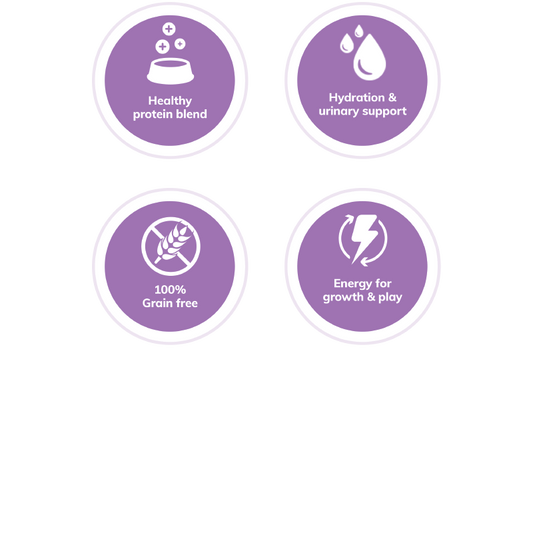 Wellness Complete Health™ Pâté Chicken & Herring Cat Wet Food - EXPIRES Sept 10 2024 - www.Shopthatapp.com